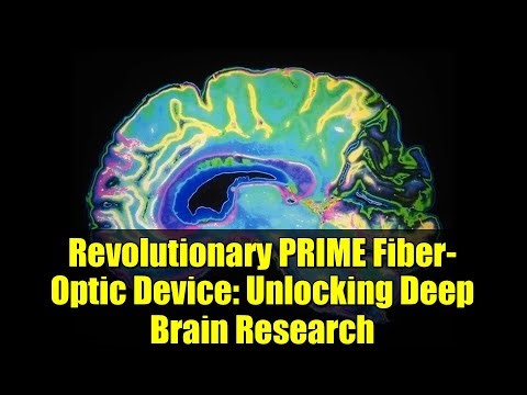 Revolutionary PRIME Fiber-Optic Device: Unlocking Deep Brain Research
