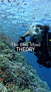 35K views · 1.9K reactions | Do you ever feel that incredible sense of peace and connection while diving? That's because scuba diving is much more than a hobby – it's a wellness pillar for both body and mind. It's an opportunity to escape the hustle and embrace the bubbles!  Learn more  https://blog.padi.com/scuba-diving-underwater-meditation/  IG 'orianamendozablog' | PADI | Facebook