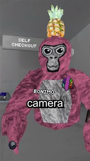 camera mod tier list (gorilla tag)