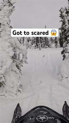 Snowmobile hill climb attempt. #shorts #snowmobile