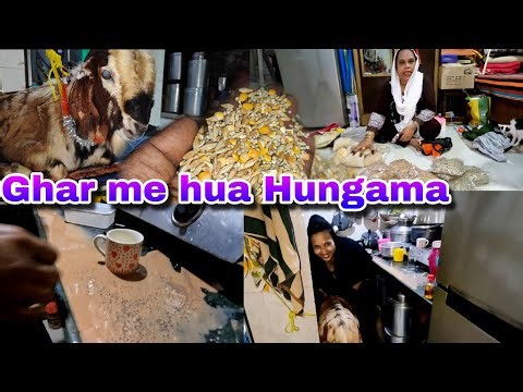 Noor aur Bakre ki Fight 😂