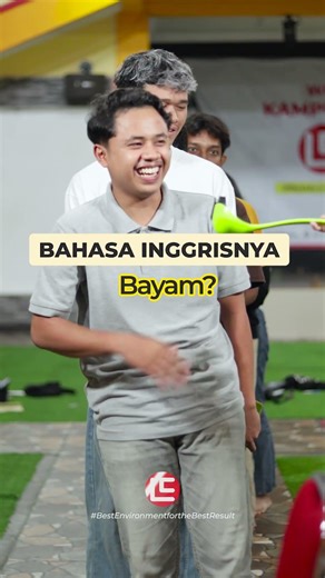 EMANG APAAN BAHASA INGGRIS KUBIS?