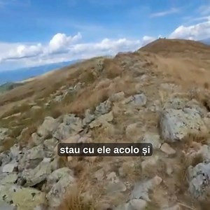 81K views · 2.5K reactions | Plante comestibile Cum să supraviețuiești în pădure | Ciuperci medicinale anti-cancer | Facebook