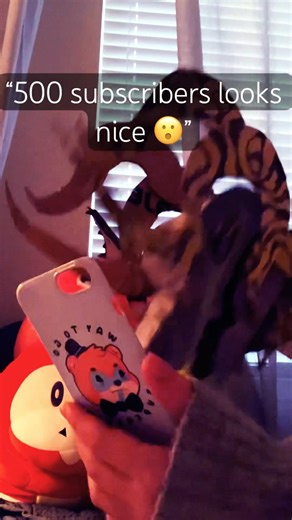 ‼️TYSM FOR 1K SUBS‼️ #dragonpuppets #dragonpuppeteer #dragons #puppets #crafts #funny #thankyou