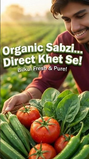 Ultimate Guide to Organic Vegetable Farming