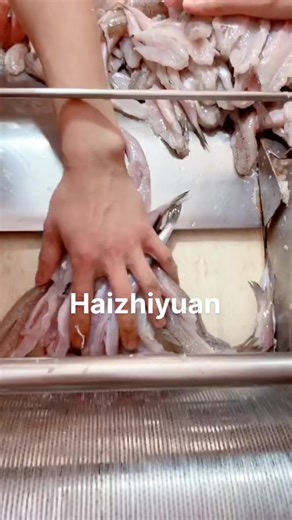 #food #seafood #machines #fish