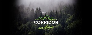 Attraits, histoire et patrimoine - Arundel