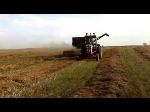 Versatile 42 Combine combining peas