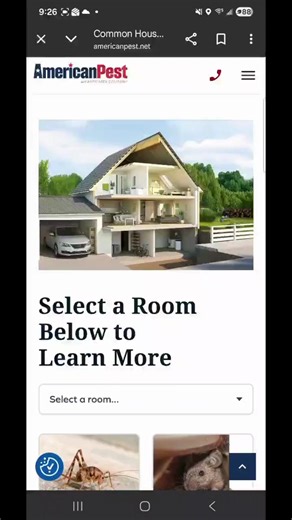 Pests don’t show up randomly—they hide where conditions are right. Our new interactive guide breaks down where pests are settling down throughout your home, so you know what to look for and where issues often begin. Follow the link to explore pest activity room by room—and learn how to stop issues before they spread. For a more interactive experience, visit the page on your desktop. https://bit.ly/4bvssVI | American Pest