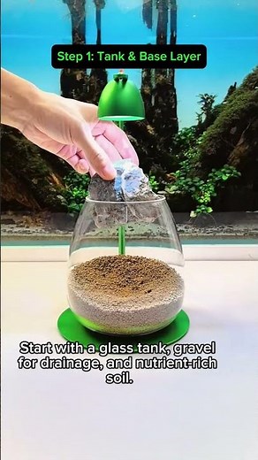 A Tiny World of Green | FZONE Micro Landscape Terrarium Unboxing & Setup