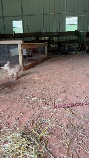 J E S S I C A on TikTok