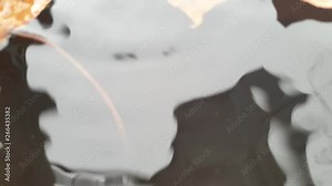 Falling drops in the close-up in a barrel slow motion.