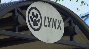 Seminole County considers overhaul of LYNX bus service to save money