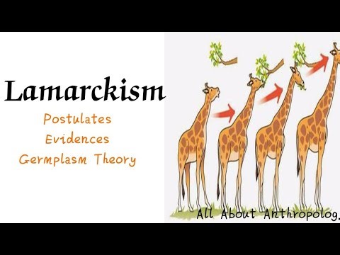 All About Lamarckism | Inheritance of acquired character| ‪@allaboutanthropology‬