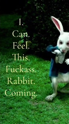 rabbit is getting too me💔