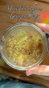 325K views · 7.2K reactions | Got a lively ginger bug? Here’s how to keep it thriving!  Feed daily or every other day, stir, and remove half before feeding fresh ginger and sugar. Store in the fridge if needed, and always watch for fresh, tangy smells. Cheers to endless homemade ferments! ✨ #GingerBug #FermentationTips #DIYFerments #FromScratch #NaturalSoda | Living Planet Friendly | Facebook