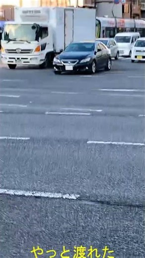 図書館帰りの道草日記 第169回 前編ショート1 - やっと渡れた #散歩