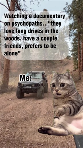 #offroad #lifein4lo #yotaoffroad #4runner #genx @the_rowdy_runner