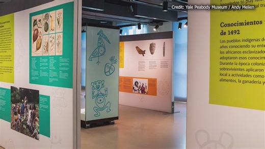Nyberg: New Yale Peabody Museum exhibit explores Caribbean culture