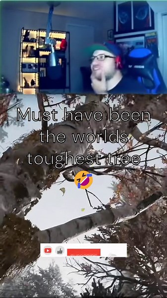 When the God of War Meets the World’s Strongest Tree