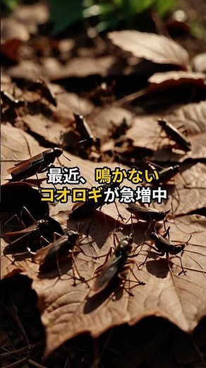 コオロギの鳴き声の秘密