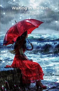 35K views · 1K reactions | As the world caves in, waiting in the rain.... | Gifs, Vids & Music Etc | Facebook