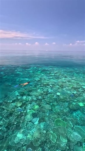 Travel Culture on Instagram: "TRAVEL CULTURE | NATURAL LANDMARKS 🇯🇵 Okinawa — Coral Reefs of the East China Sea The coral reefs surrounding Okinawa are among the richest marine ecosystems in Japan. Located in the East China Sea, this subtropical region is known for its warm waters, high biodiversity, and extensive reef systems. Key facts: • Part of the Ryukyu Archipelago • Home to hundreds of coral species and tropical fish • Popular destination for snorkeling and scuba diving • Several reef a