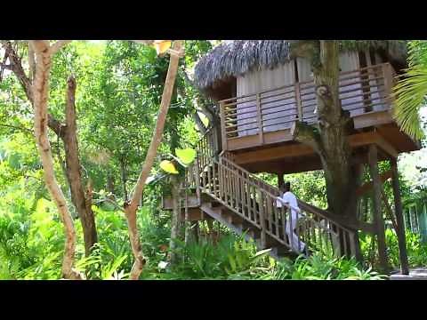 Couples Resorts Negril Jamaica Official Video