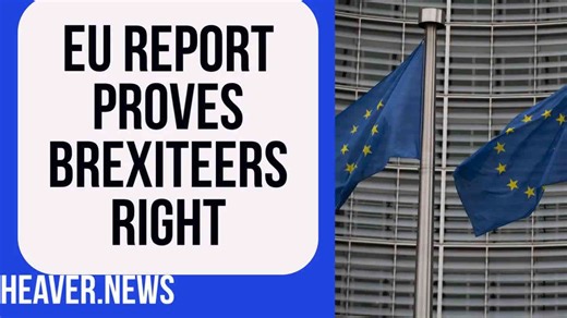 Brexiteers proven right again about EU expansion