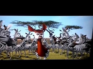 Okapi smells and finds Marty Irresistible