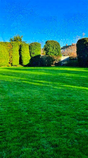 11 reactions | The perfect lawn in Spring 2026…. ….is created by doing the preparation work now!  Aeration  Over seeding  Autumn Tonics  Liquid Iron (moss control)  Seaweed  Leaf clearing and mowing on a high setting Have you checked off your lawn’s Christmas wish list? | Blades Of Glory Lawn Care | Facebook