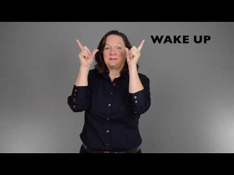 First 100 Verbs in ASL with captions