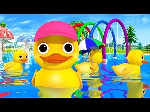 Quack Quack Song! Baby Ducks Go Swimming with Mama 🦆 | Fun Baby Songs | Classic Baby Songs