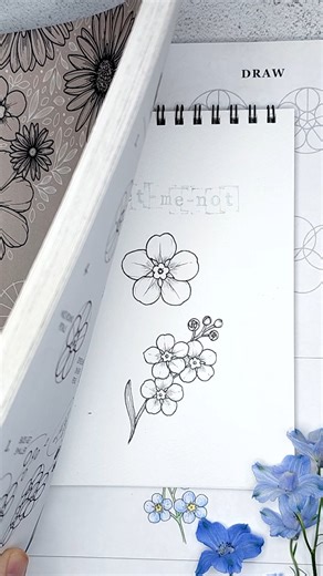 The best way to draw a forget me not flower ✨ | Aska Hall