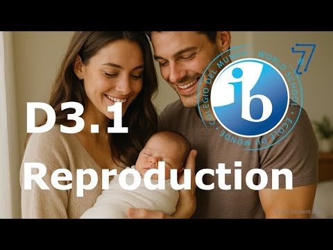 2025 IB Biology – D3.1 Reproduction
