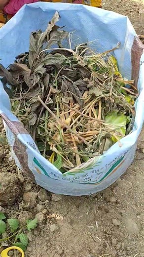 Making vermicompost made easy - Easy gardening tips. #gardening #garden #roomtogrow #vermicompost