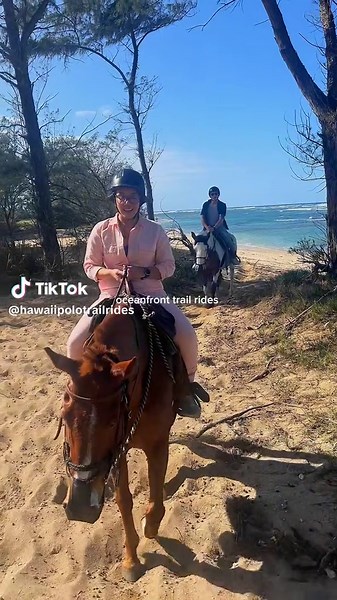 The views from horse back in Hawaii are so enchanting! Book a ride with us, and experience the North Shore of Oahu from horseback! We have the only location in Oahu that rides on the beach. #Honolulu #horsebackriding #hawaiipolo #Waikiki #travel #adventure #vacation #Beach #trailride #Oceanfront #horseride #horse #hawaii