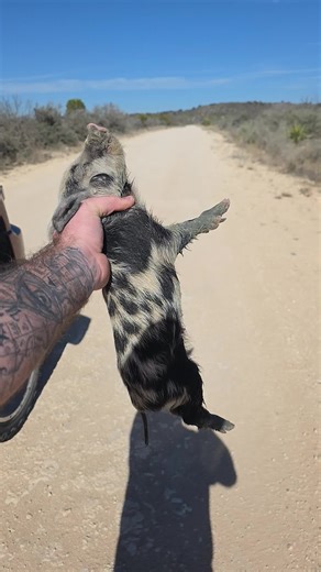 Funny Moments from the Hunting Trip