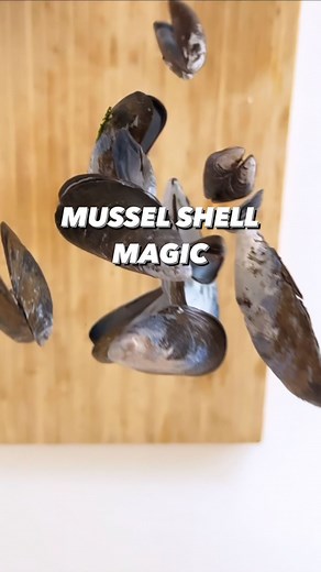 Armen Adamjan on Instagram: "Don’t throw out mussel shells.. recycle them like this! 🤩🌱 . More tips/tricks in my official Plant Book: Available on my website CreativeExplained.com! 🙌 . . #mussels #shells #plantbased #garden #gardening #plants #plantsofinstagram #gardenlife #lifehack #hacks #diy #recycle #sustainableliving #howto #plantfood #growyourownfood #plantstagram #creativeexplained #magic #organicgardening #instadaily #tiktokstar"