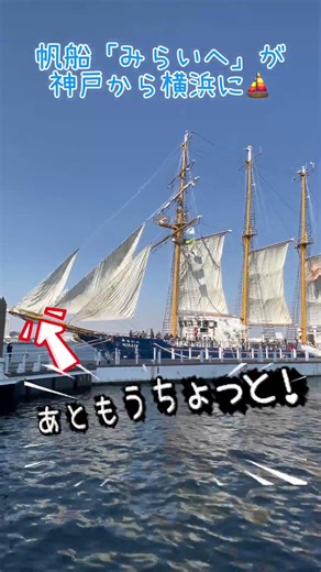 巨大客船もいいけど、クラシックな帆船もたまらない⚓️ 横浜で出会った『みらいへ』の帆が広がる瞬間⛵️#shorts #クルーズライフ #帆船みらいへ #展帆 #japanboatshow