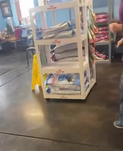 La llamaron a la clínica veterinaria para comprobar si el perro que encontraron era suyo y entonces ocurrió esto