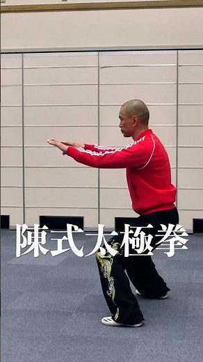 【陳式太極拳】 #陳式太極拳 #伝統拳 #太極拳 #cqc #アクション動画 #武術 #格闘 #taichi技 #自然門 #kungfu #fighting #martialarts
