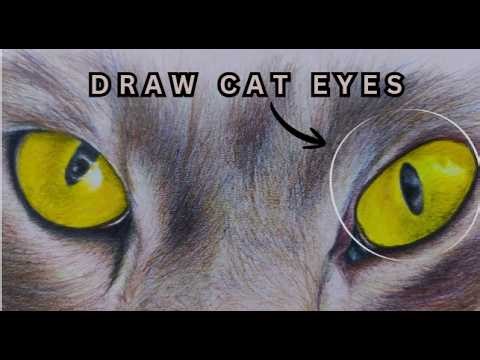 How to Draw Realistic Cat Eyes with Colored Pencils | Step-by-Step Tutorial