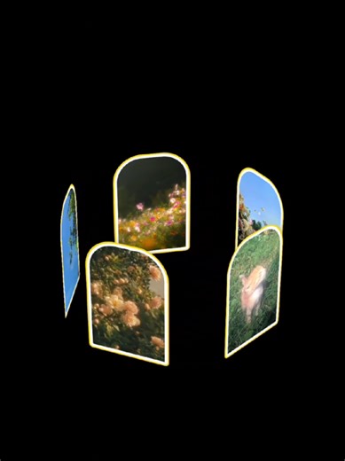 Display photo with design.... #html #javascript #website #code #programming