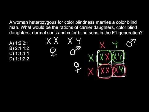 How to solve X chromosome linked genetics problems