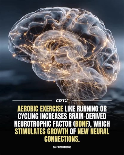 Aerobic exercise does more than strengthen your body, it rewires your...
