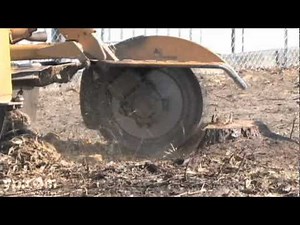 Lee Friend's Tree Service Atlanta GA Arborists Trimming