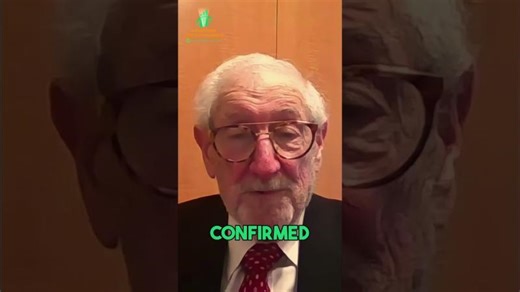 Life Insurance Why Professional Help Pays Off | James J. Di Gesu