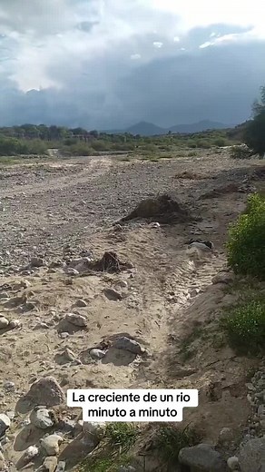 🚨Noticia_ultima_hora 🚨🇺🇸🗽 (@buho_dtx)’s video of rio amazonas crecido