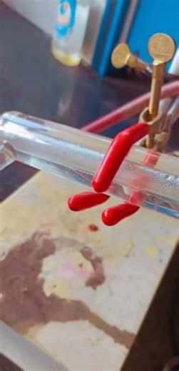 Steam Distillation #viral#trending#herbal#herbalcosmetics #distillationprocess#howto#neem#organic